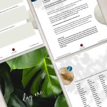 dare-to-shine-booklet-image pdf course dare to shine