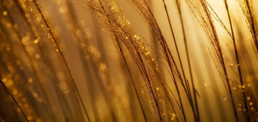 cacao ritual recipe beltane ceremony