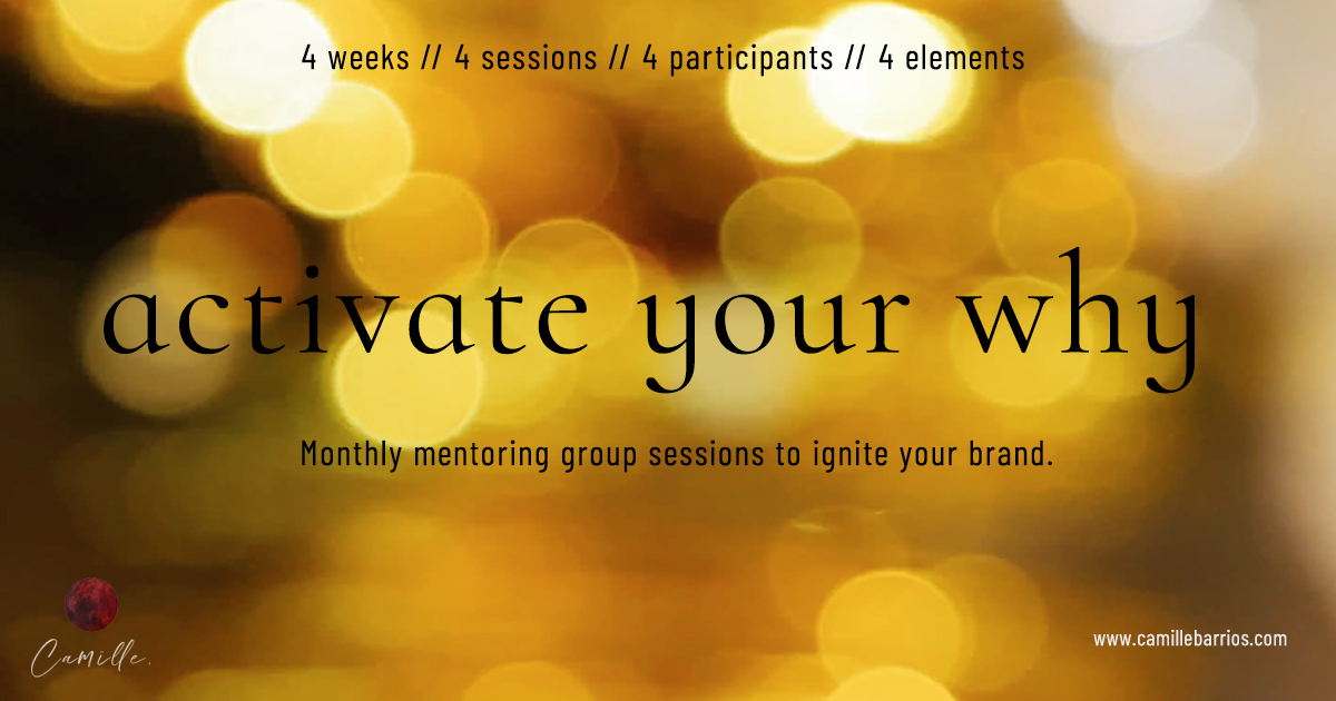 brand mentoring group sessions activate your why