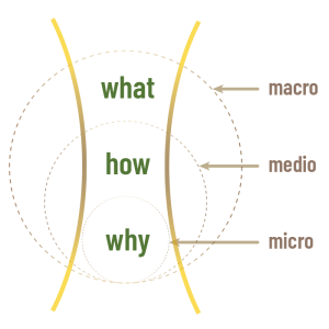embodied brand coaching circles why how what