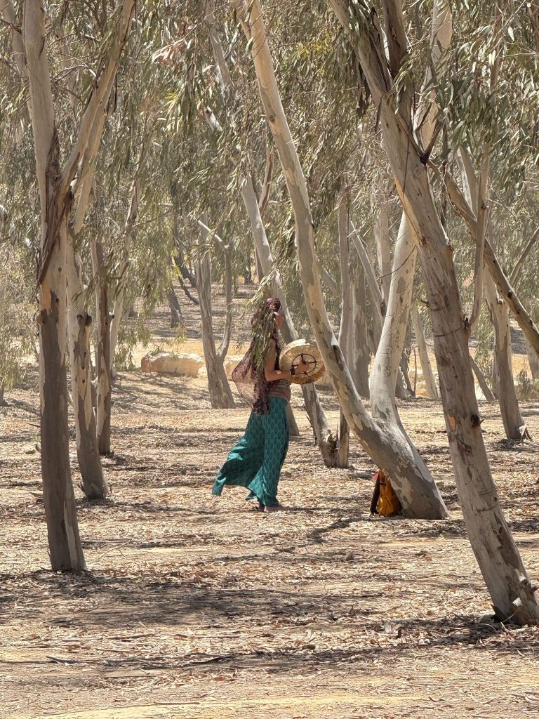fd81c3fe-cd71-44bf-94b6-1b8ec1f87737 woman playing drum in a field of eucalyptus trees
