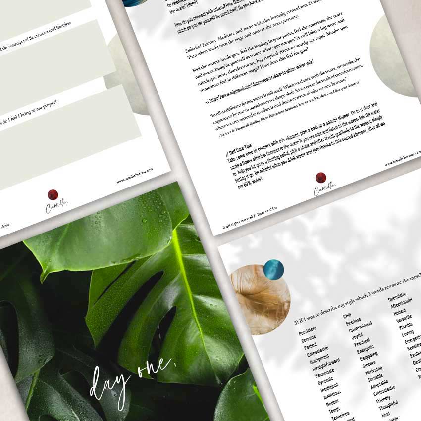 dare to shine ~ free branding course dare to shine ~ free branding course