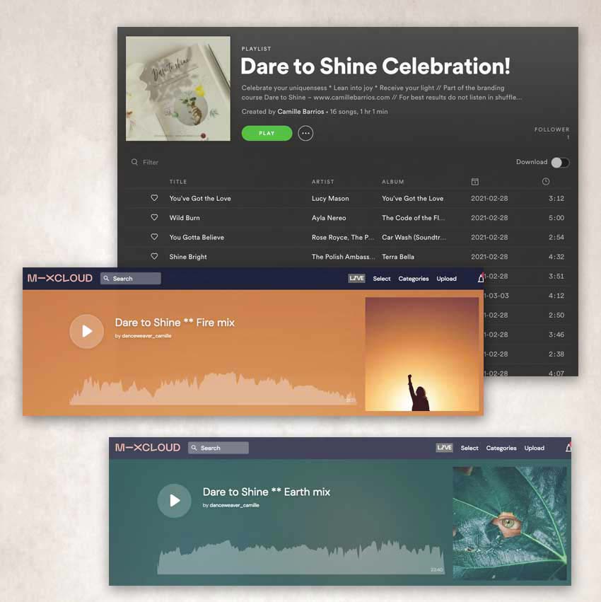dare to shine ~ free branding course dare to shine ~ free branding course