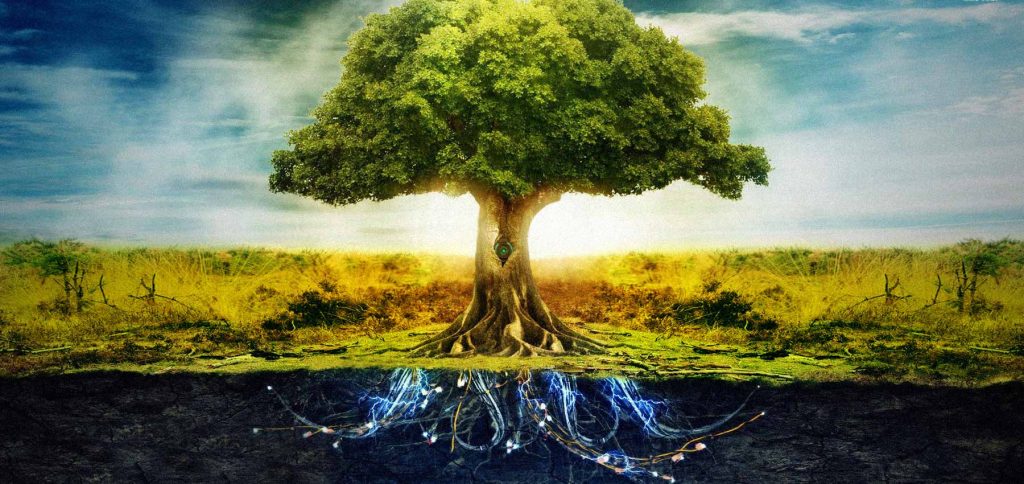 blog alchemy embodied brand coaching
